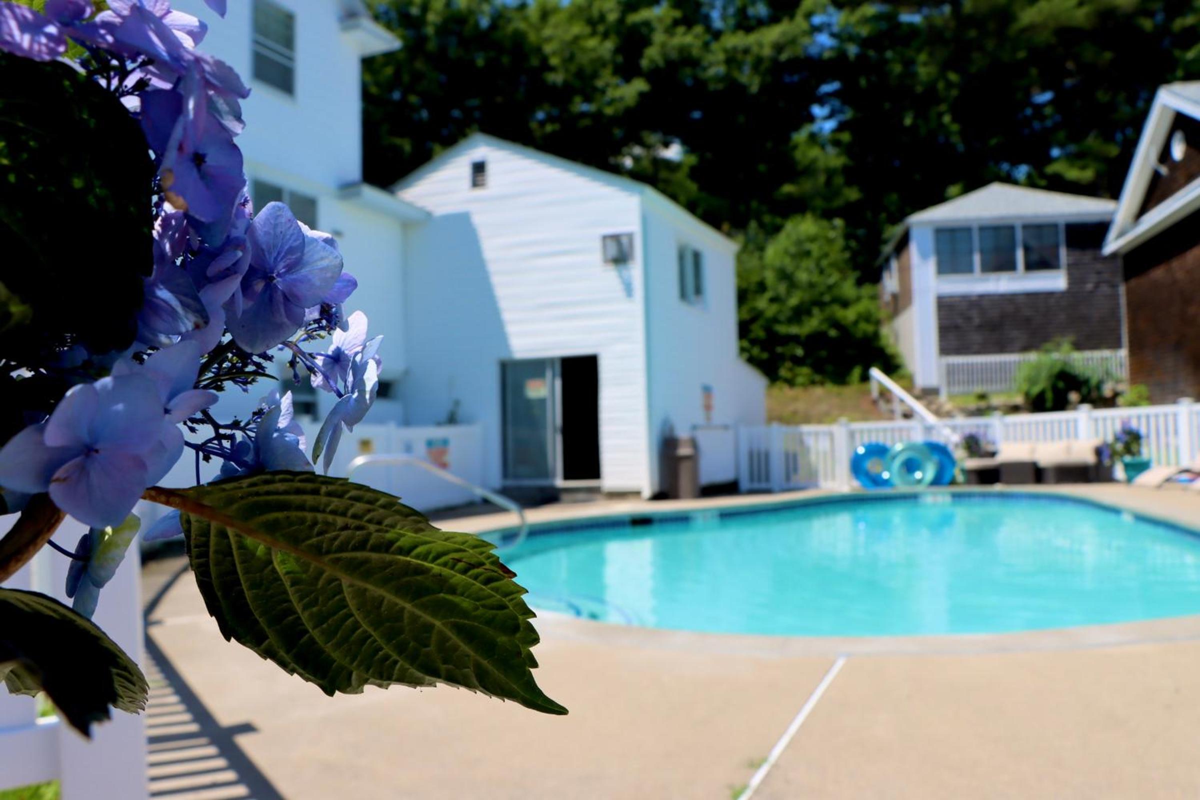 Sea View Motel - Property Image 14