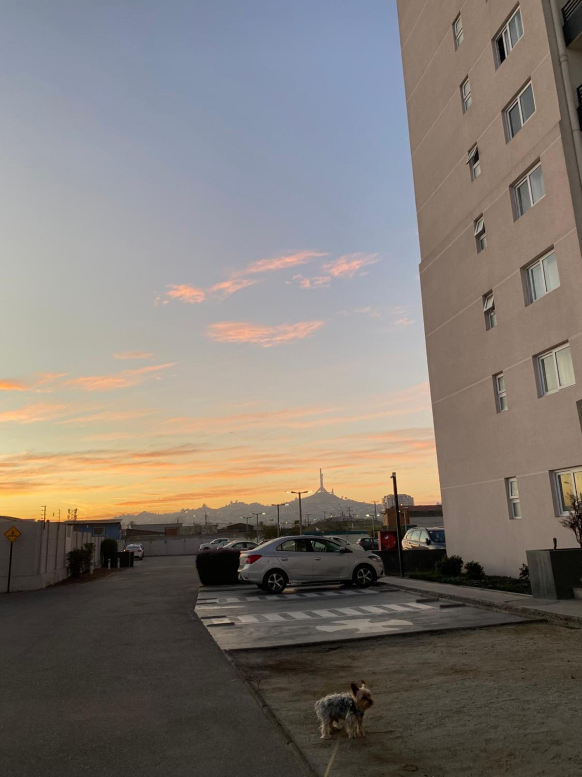 Departamento Condominio AltoMiramar