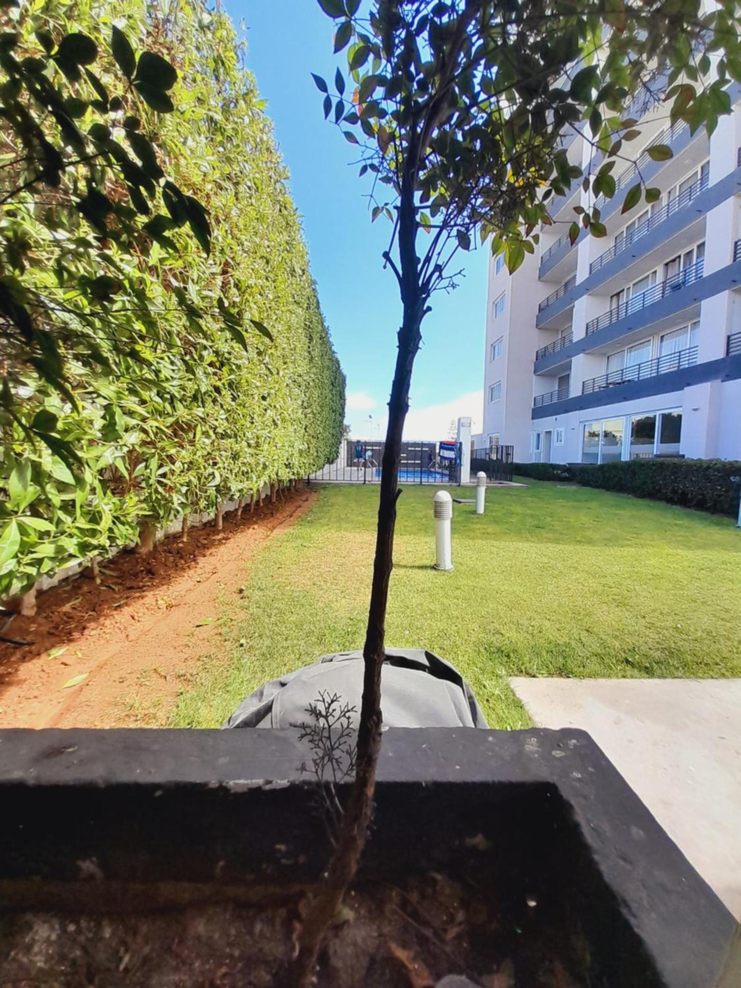 Departamento Condominio AltoMiramar