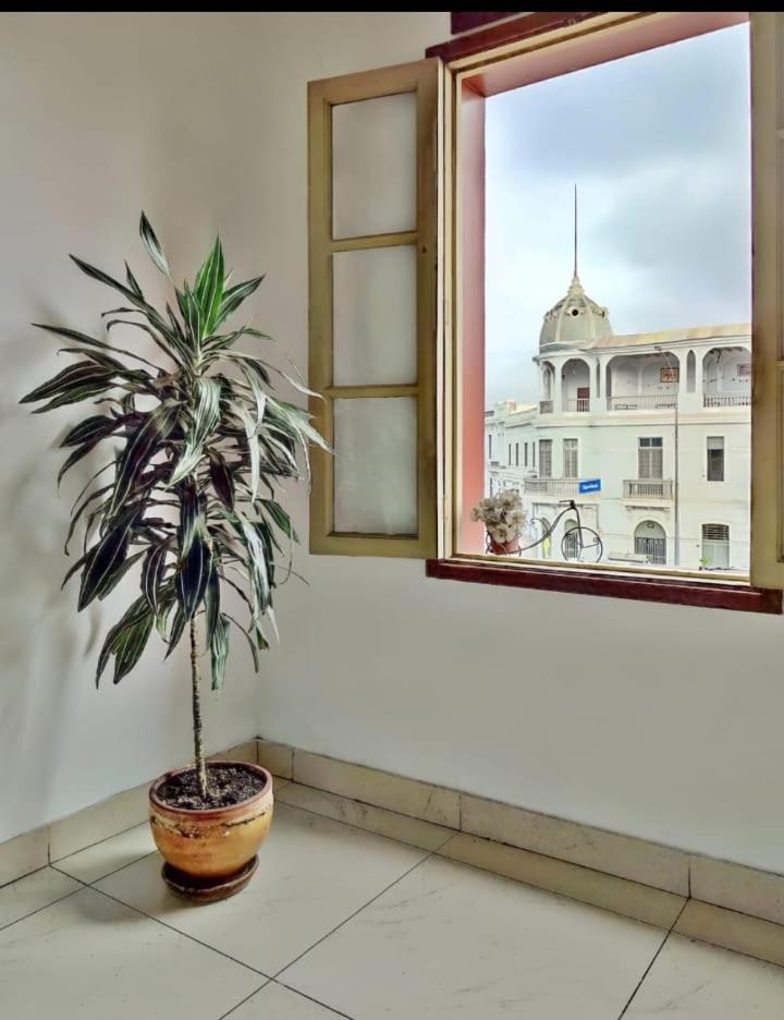 HOSTAl IMPERIO