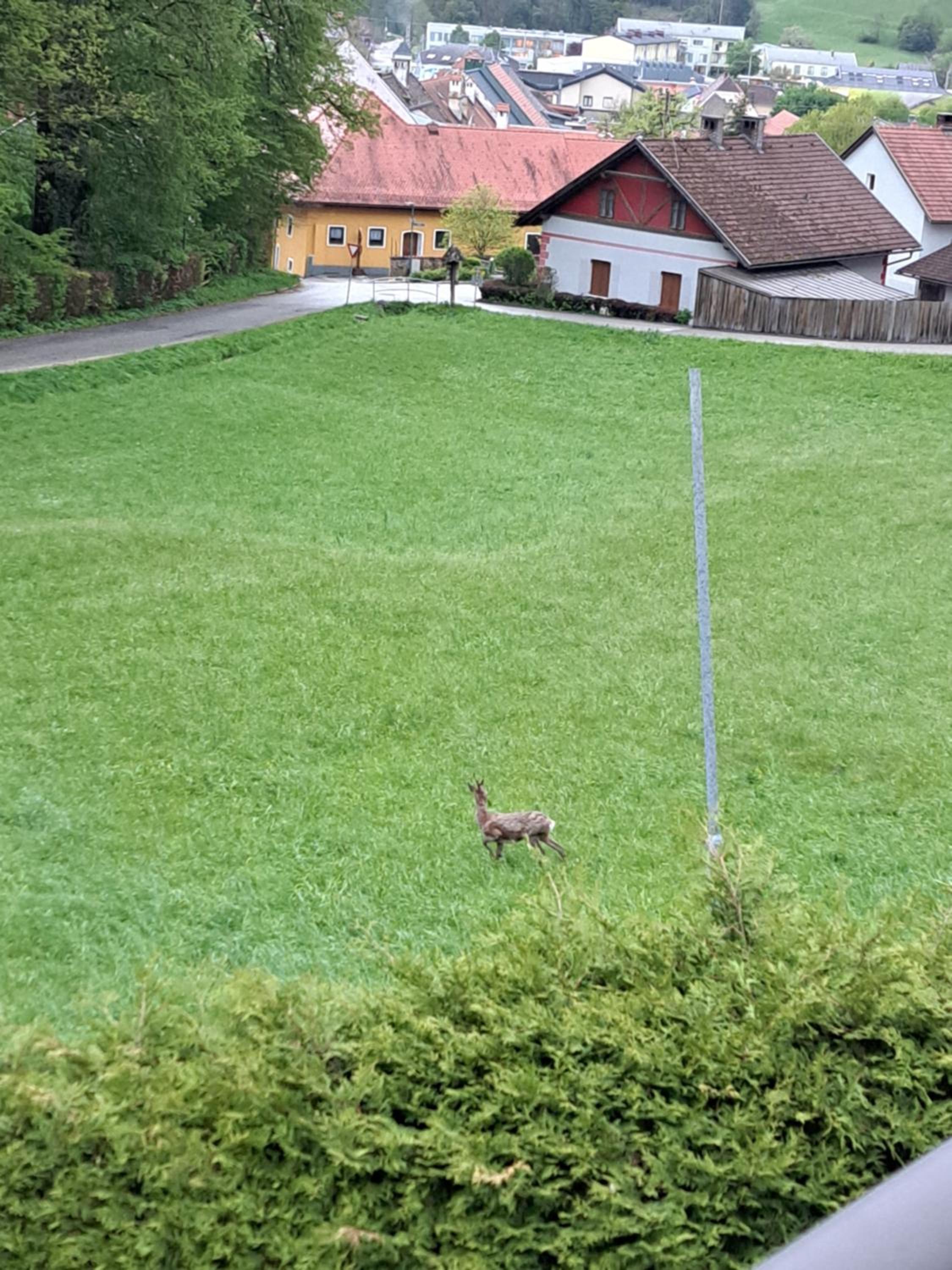Haus Am Schloss