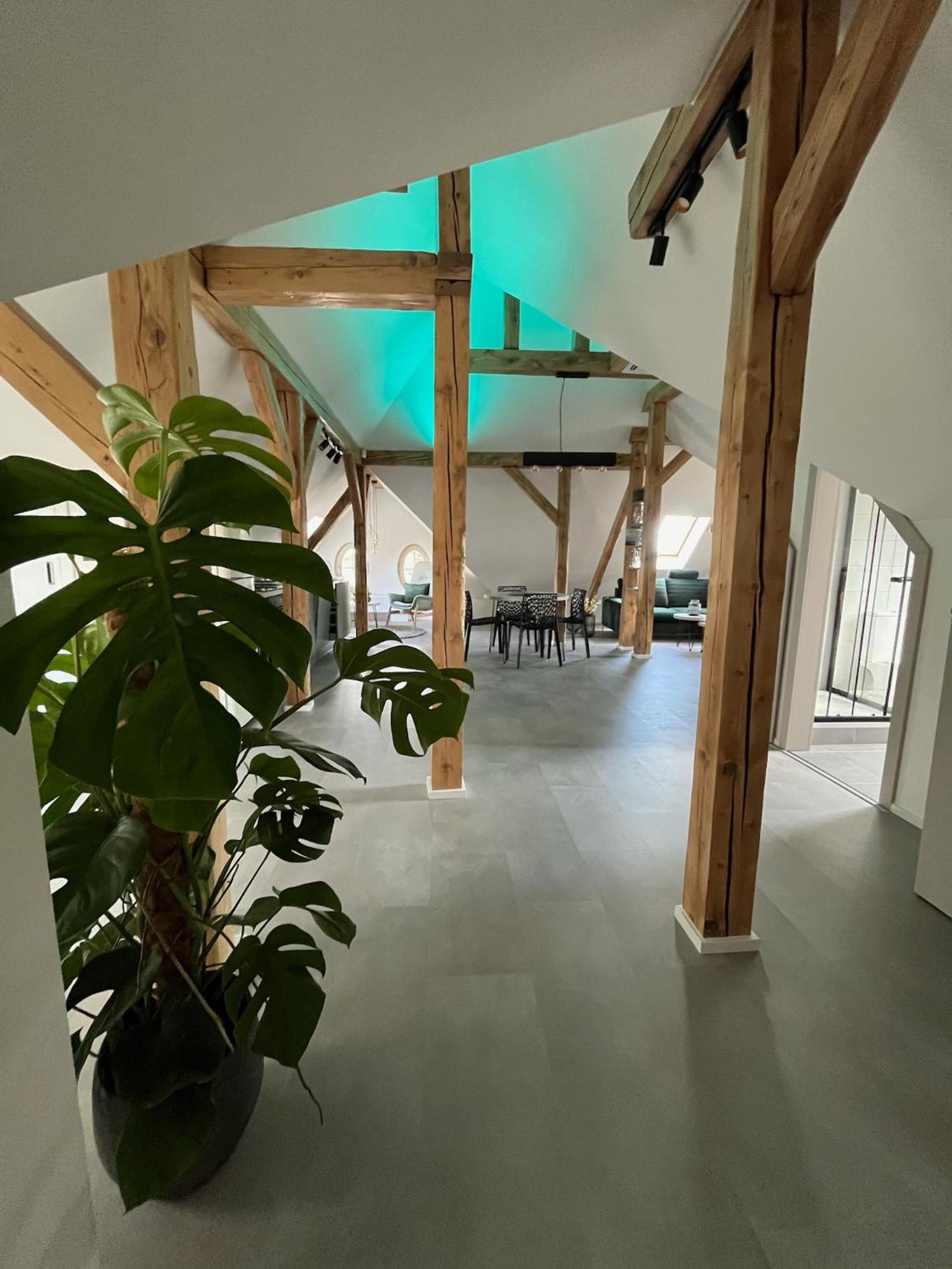Luxusní podkrovní Apartmán