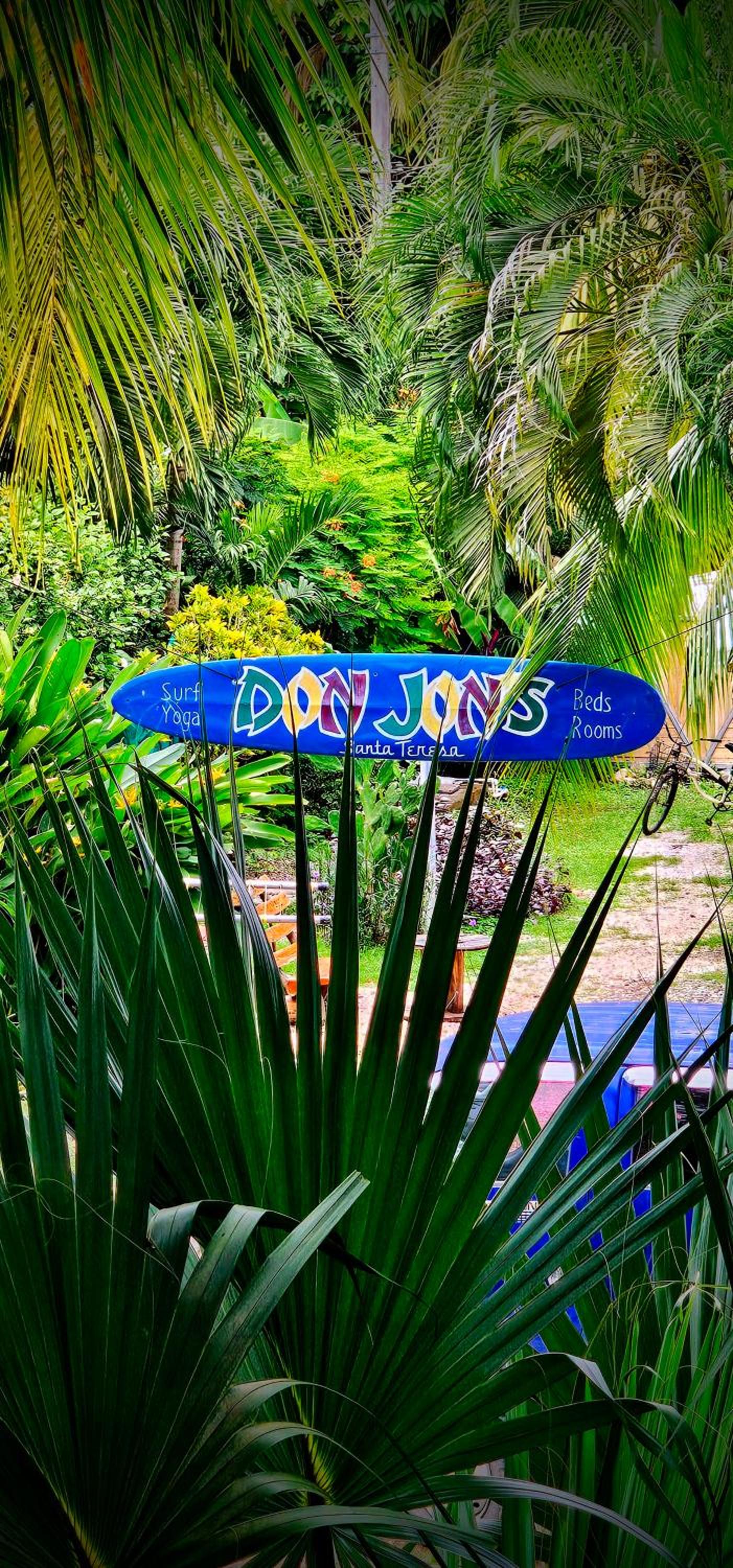 Don Jon's Surf and Yoga Lodge