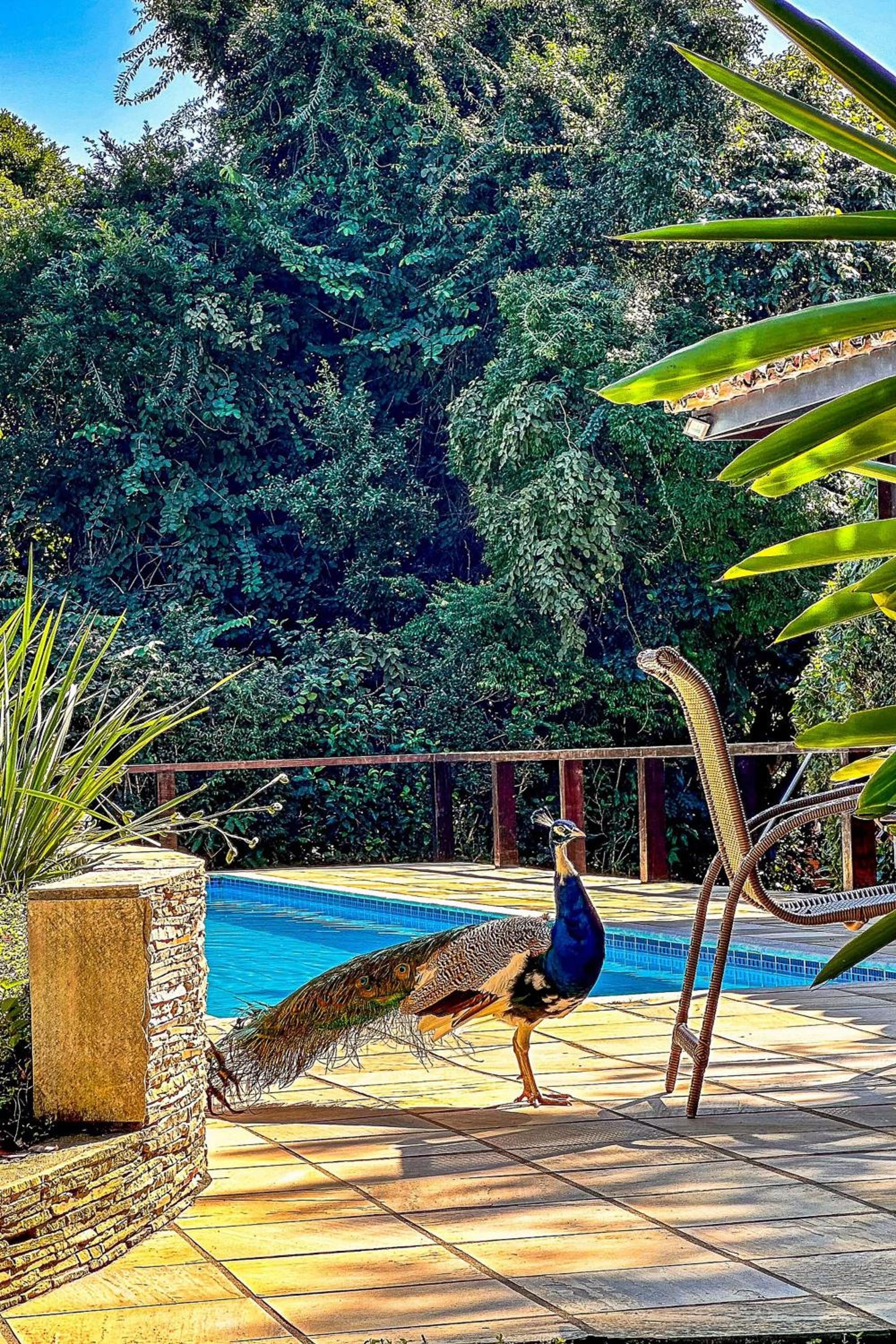 Casa com piscina a 600m da Rua das Pedras