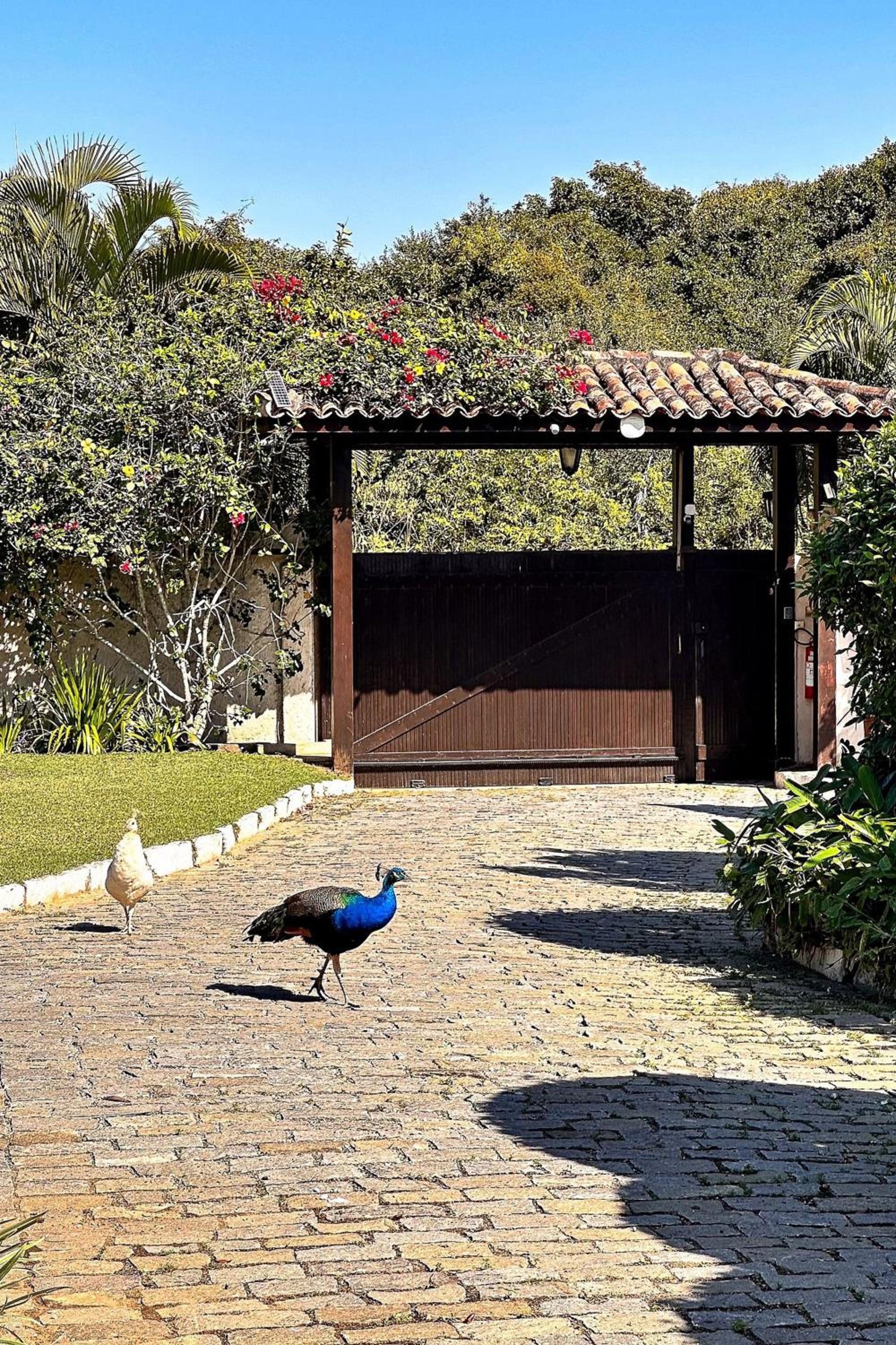 Casa com piscina a 600m da Rua das Pedras