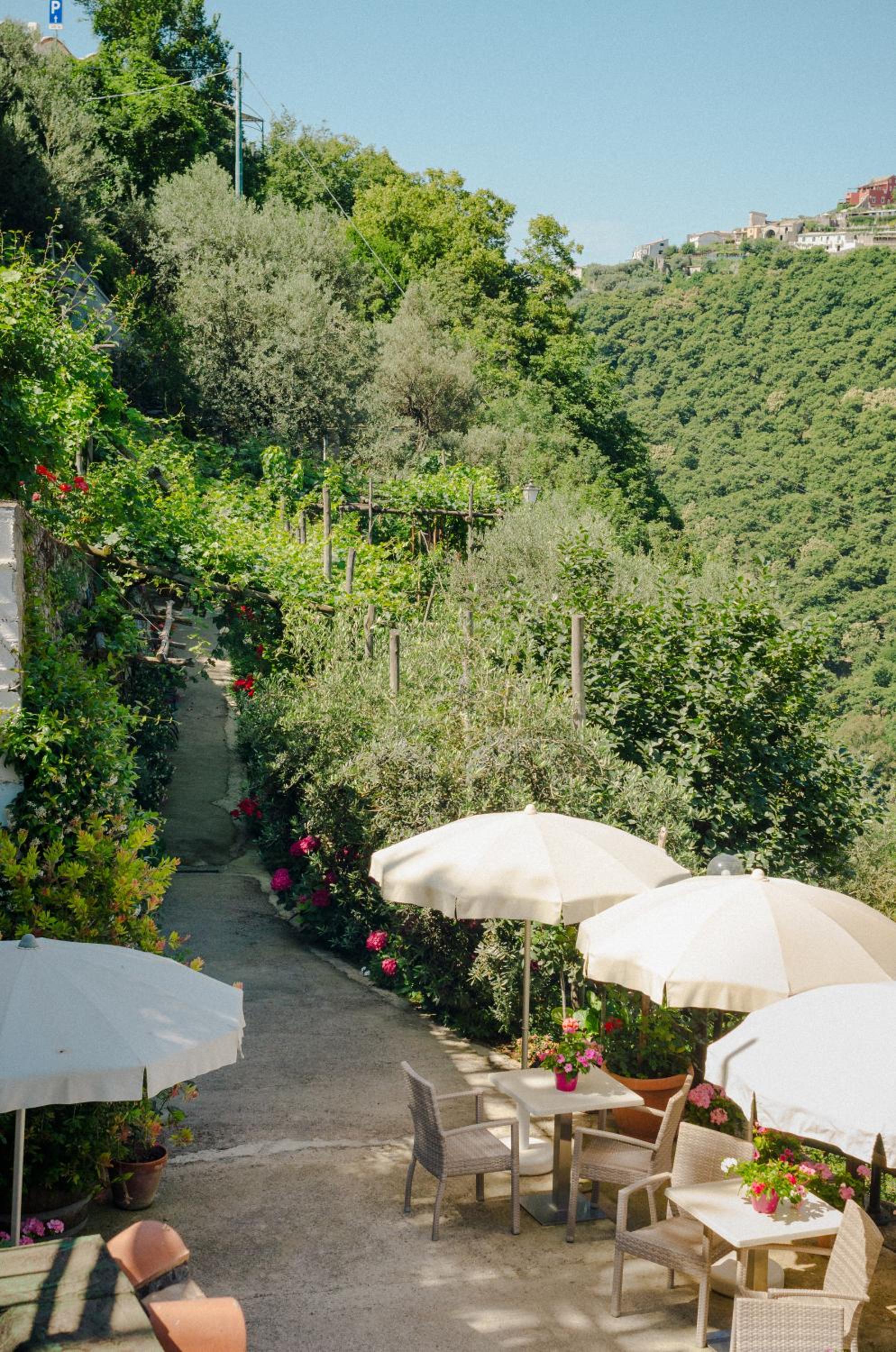 Rosa e Valentino photo 3