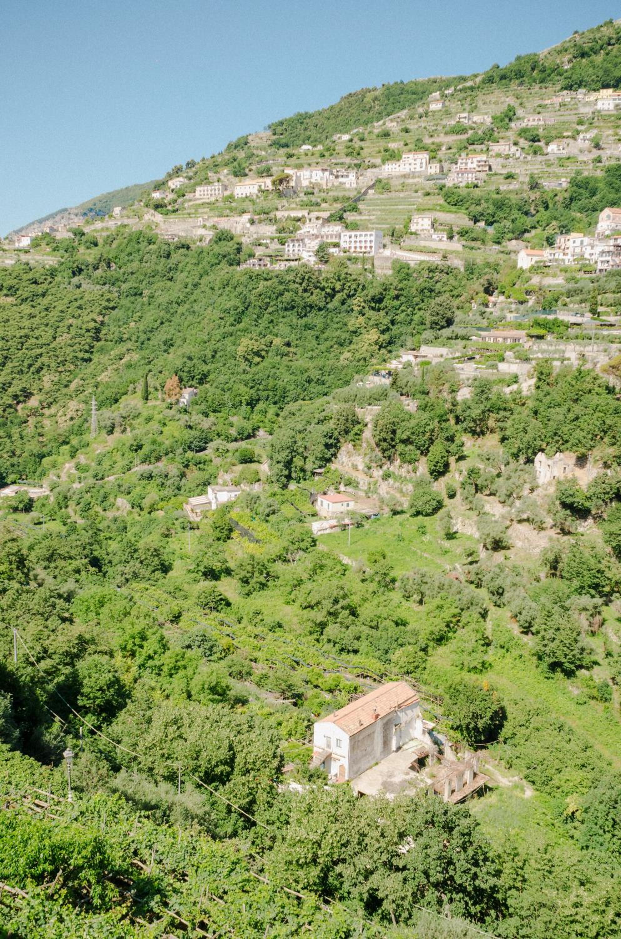 Rosa e Valentino photo 5