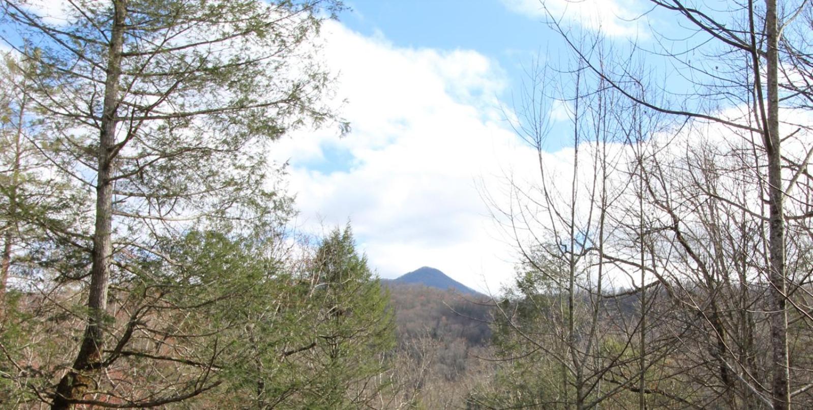 Gorgeous in Gatlinb, 44 Sleeps 12, Pet FriendlywFree tickets to Dollywood,Anakeesta,Zipline view 3