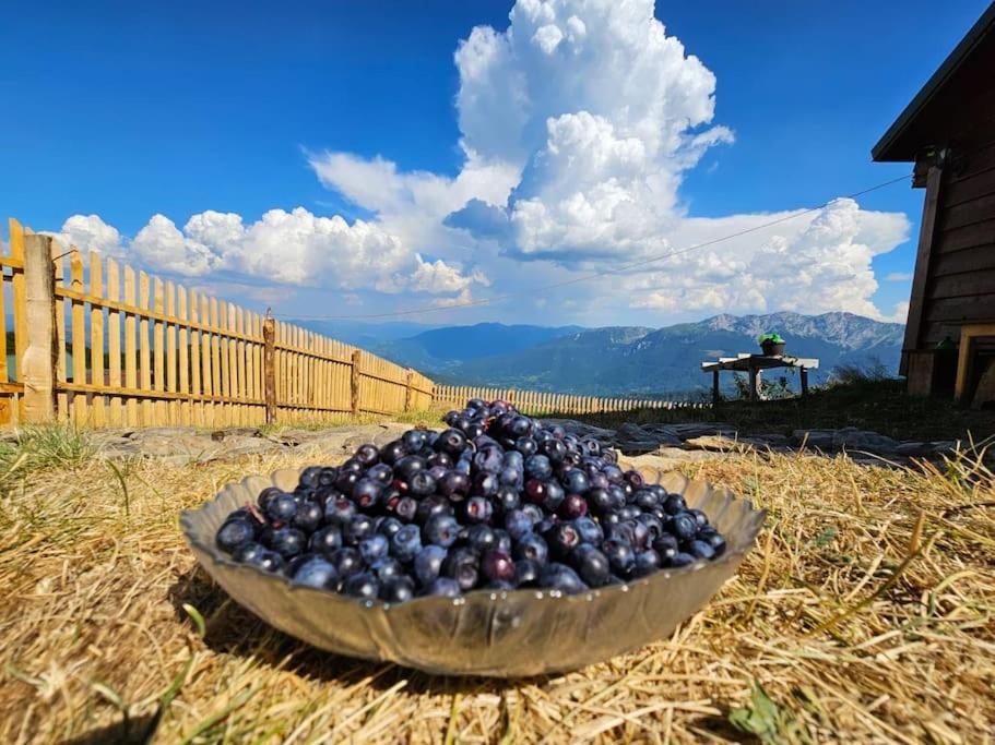 Dušanov Konak view 3