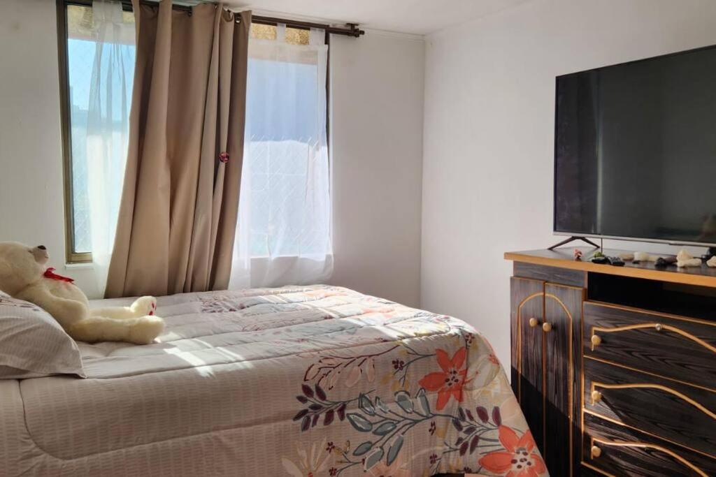 Central Department Flat