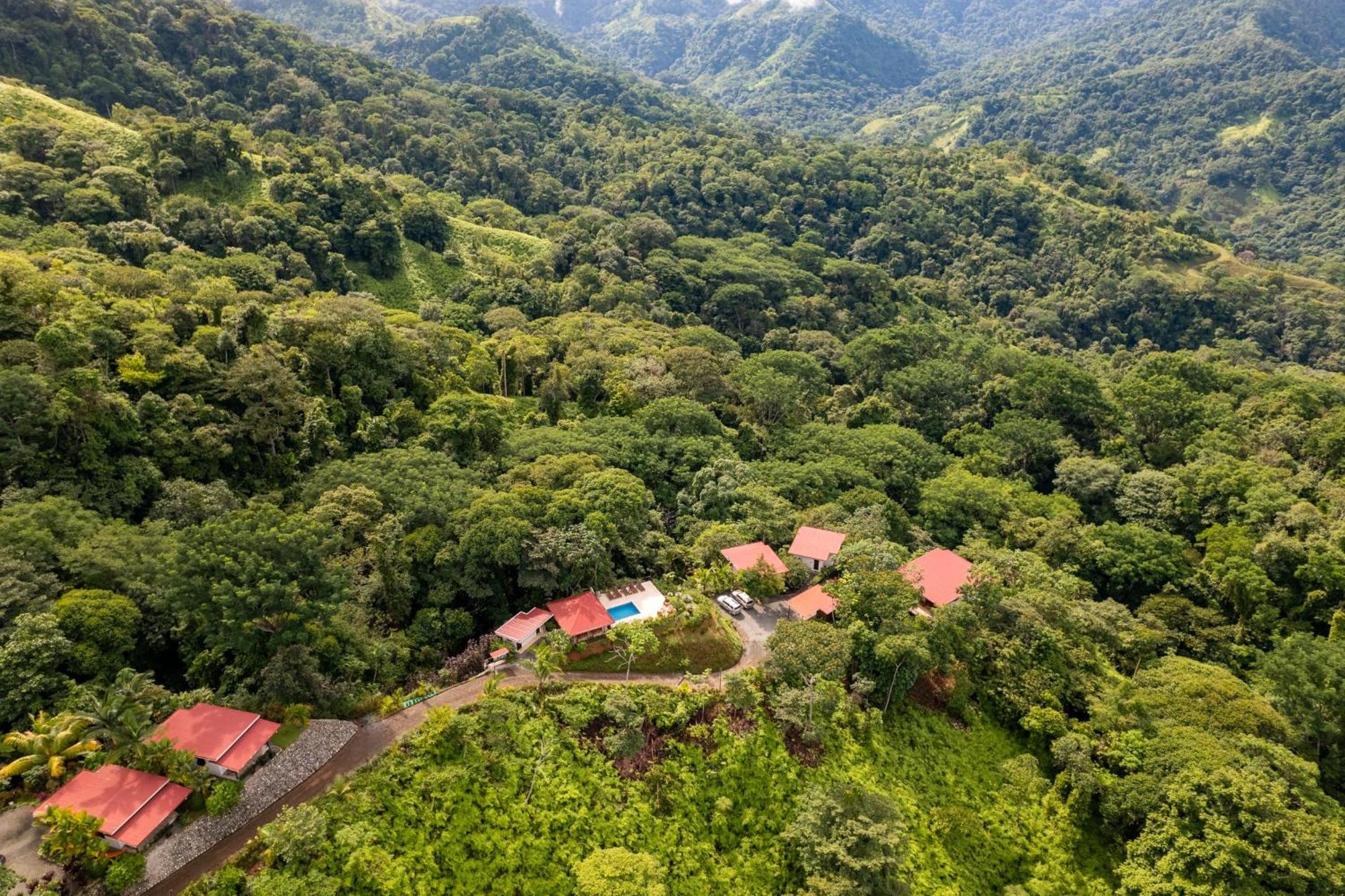 Nature's Edge Boutique Hotel