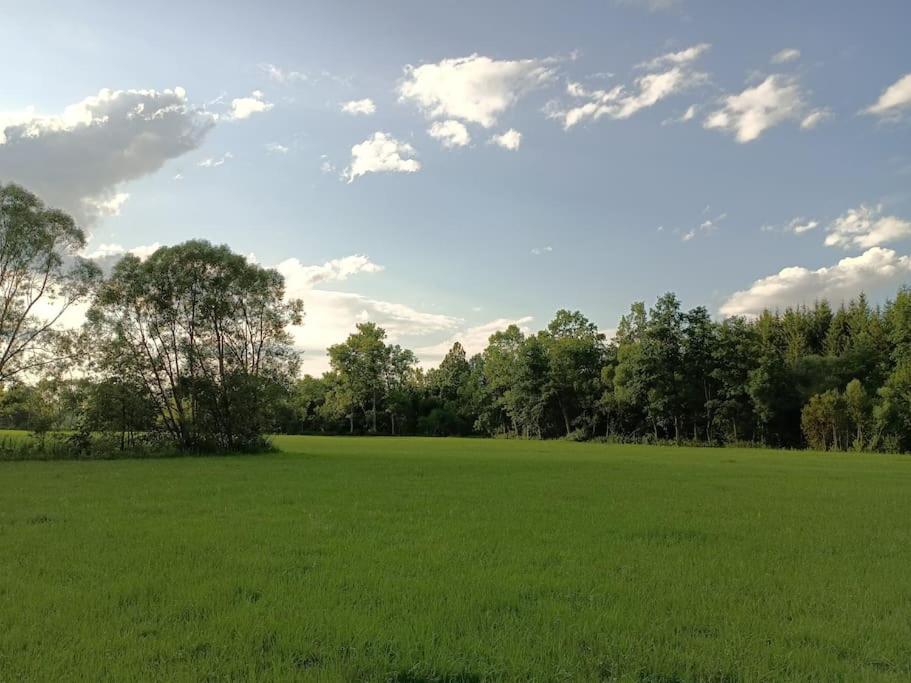 Neu renovierte Mühle, Einzellage im Waldviertel