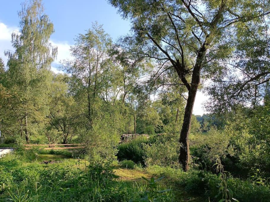 Neu renovierte Mühle, Einzellage im Waldviertel