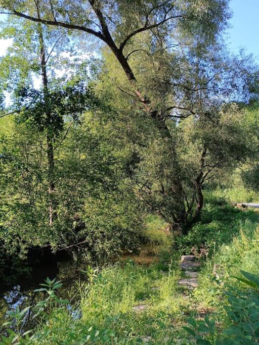 Neu renovierte Mühle, Einzellage im Waldviertel