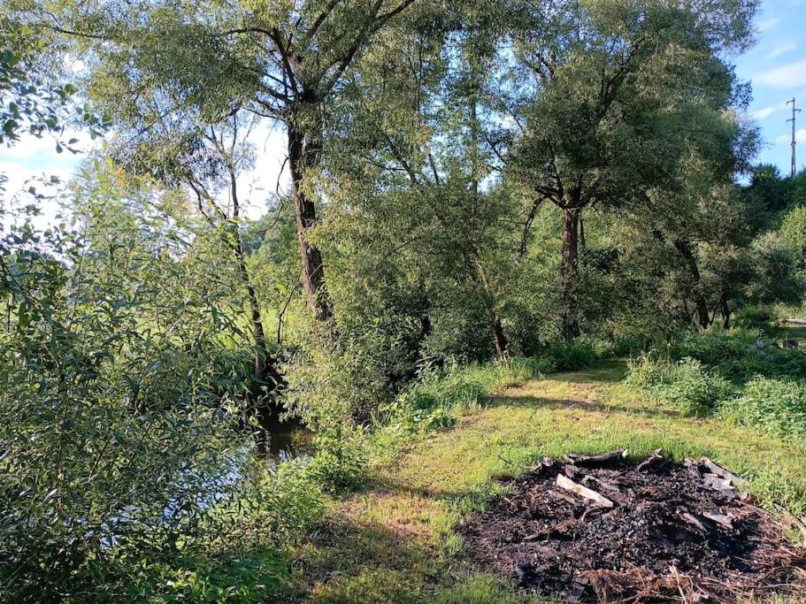 Neu renovierte Mühle, Einzellage im Waldviertel