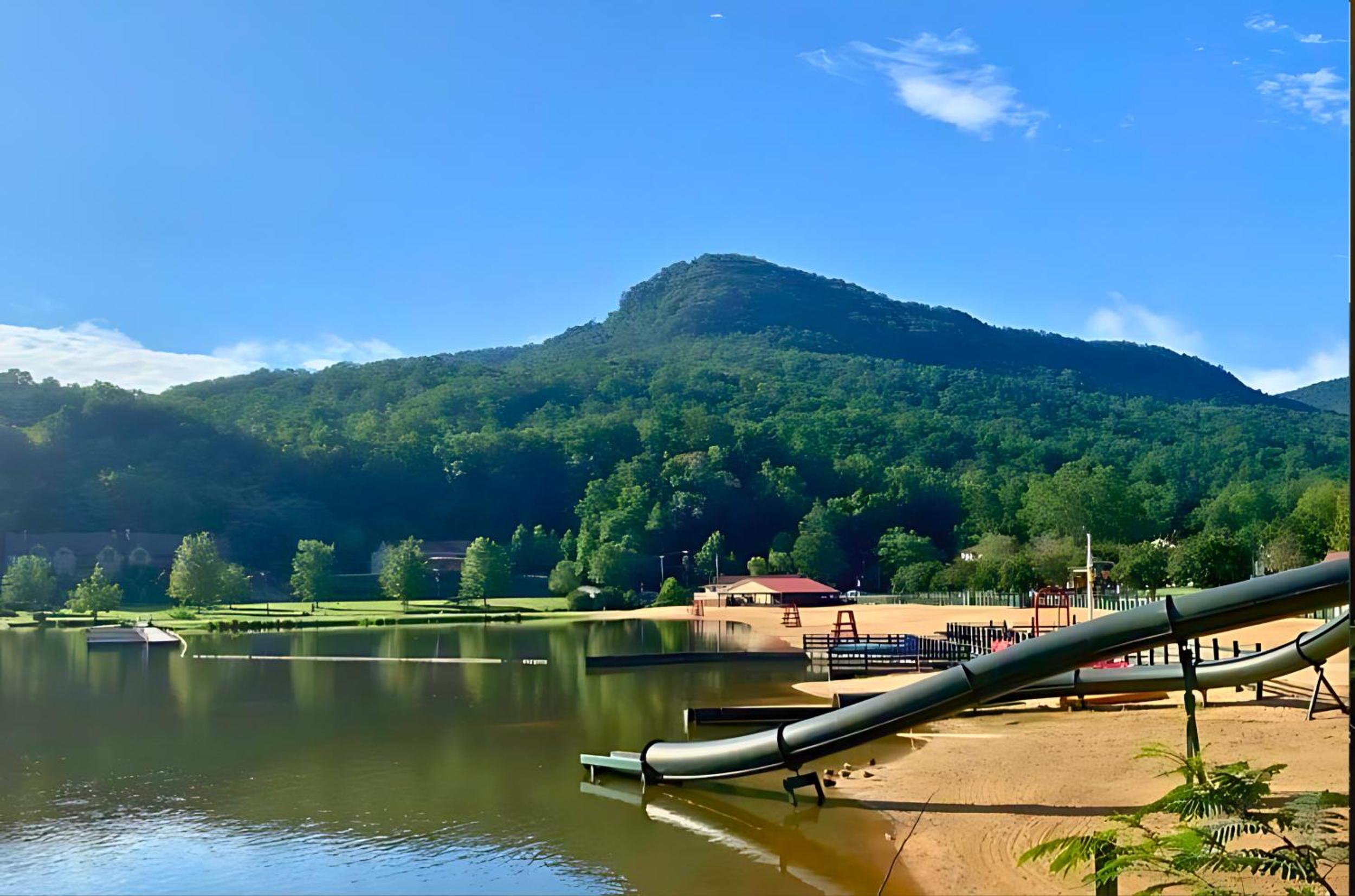 Dreaming Tree of Lake Lure