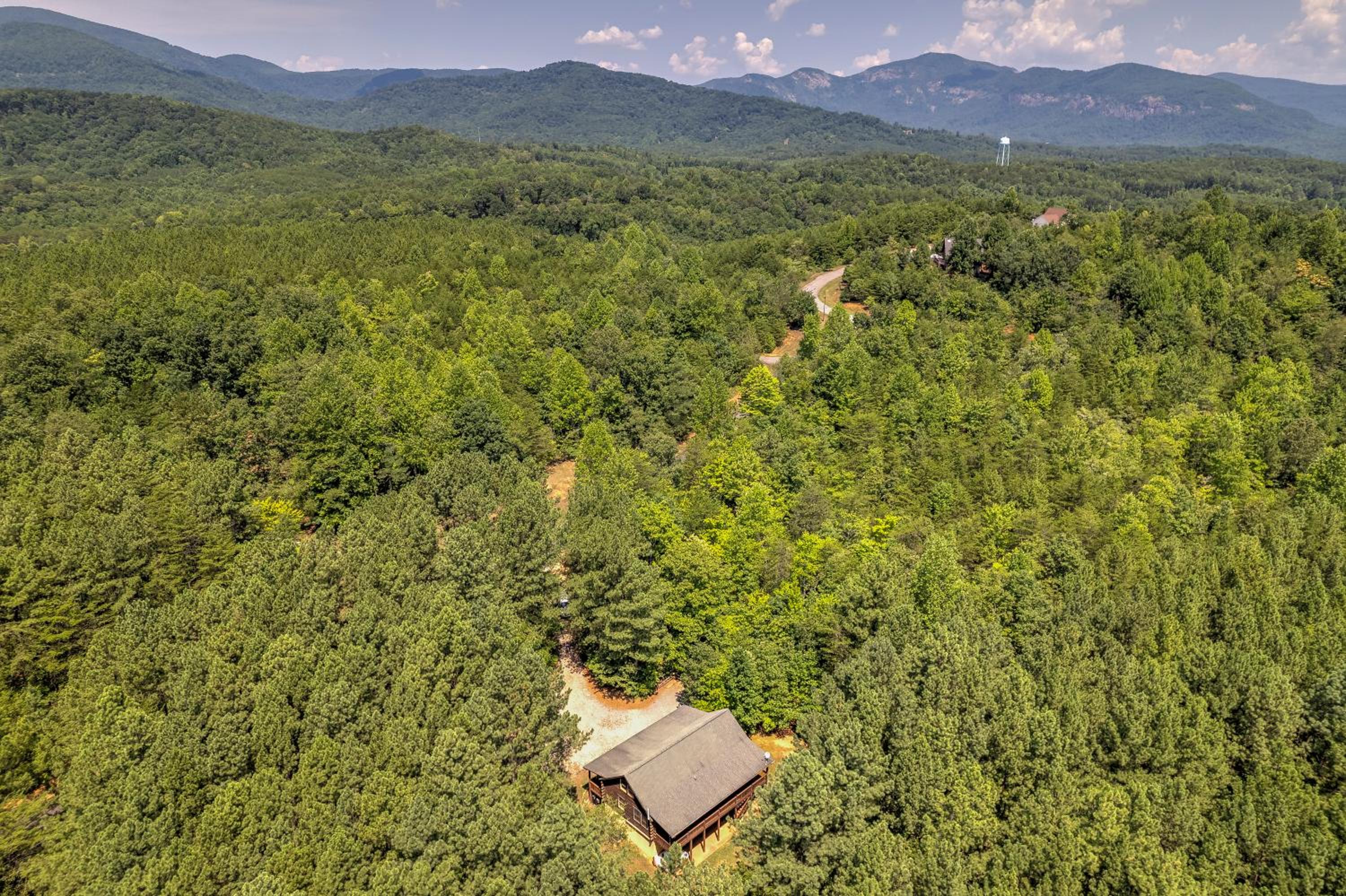 Dreaming Tree of Lake Lure