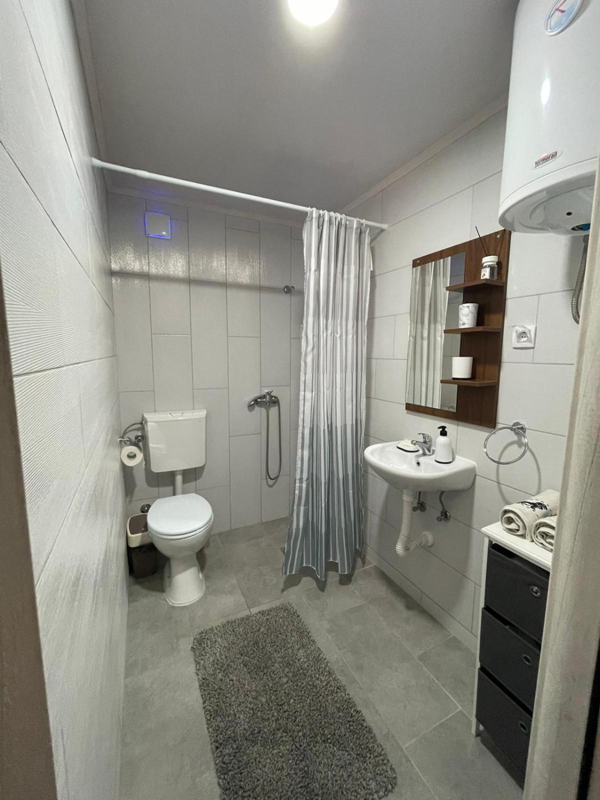 Apartmani Morava 54 view 2