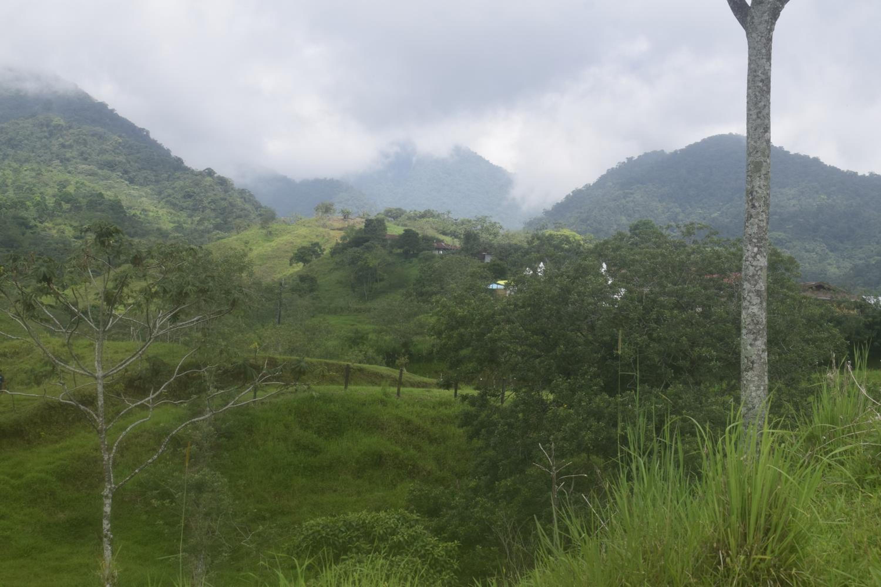 Vistas Paraiso San Carlos