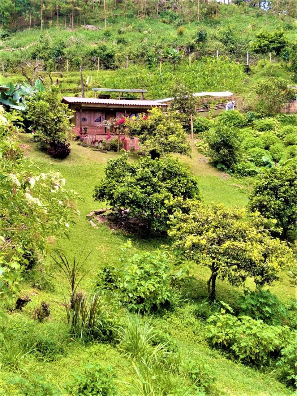 Tesorito House en las Montañas del Quindío