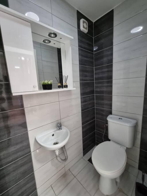 Mint Loft - City Center
