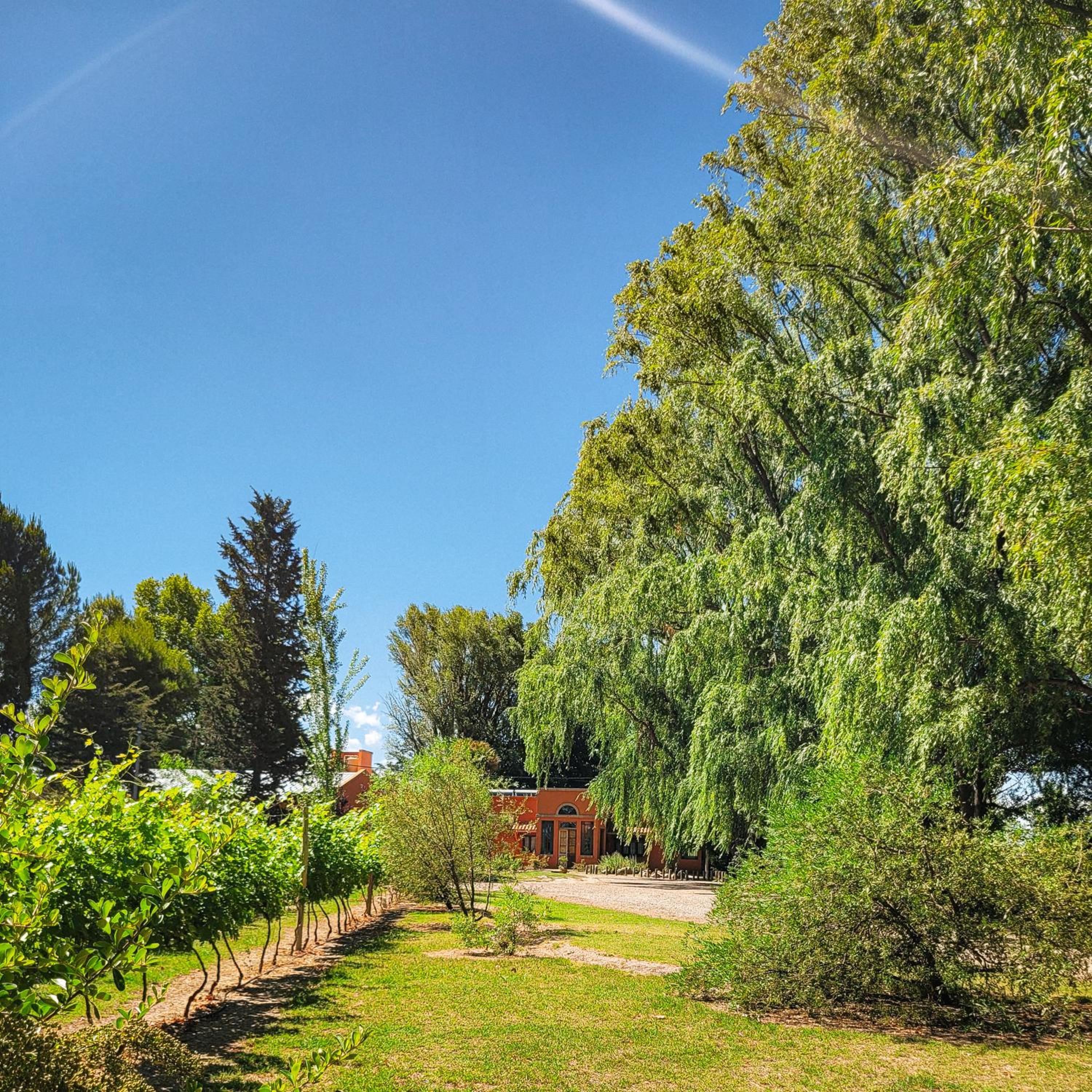 Finca La Saucina Casa de Campo