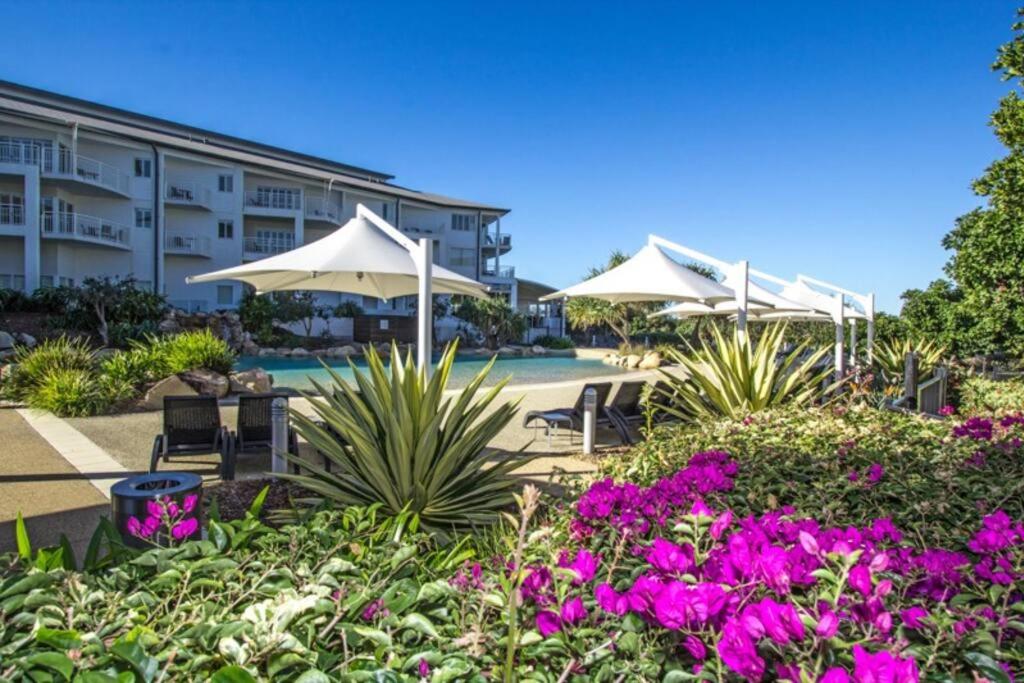 The Pool Resort Kingscliff - 1BR with Hinterland Views (5312) - Holiday Management Co.