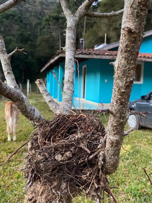 Casa Vista da Mata- 15km de Gonçalves