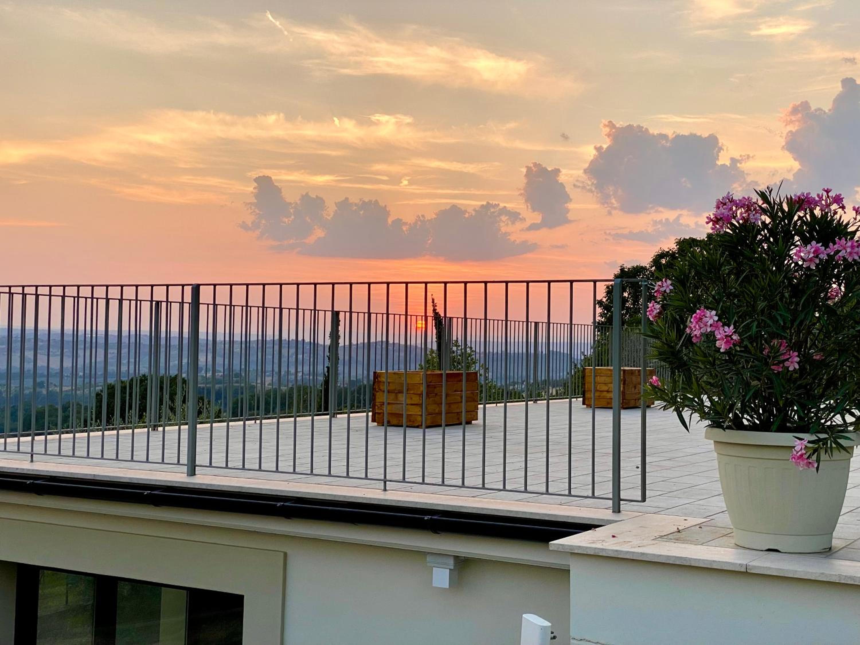 balance & terrace