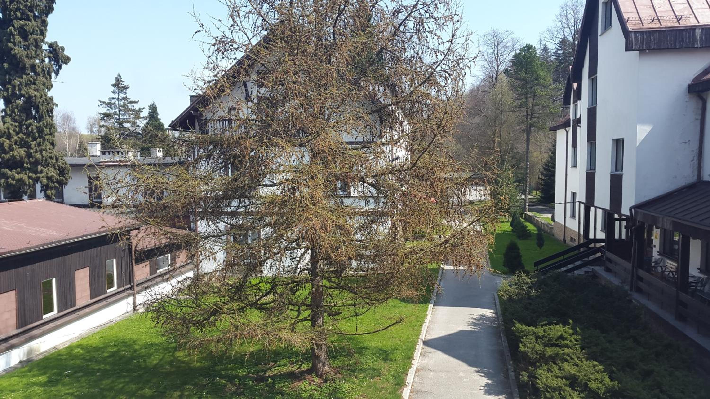Photo 13