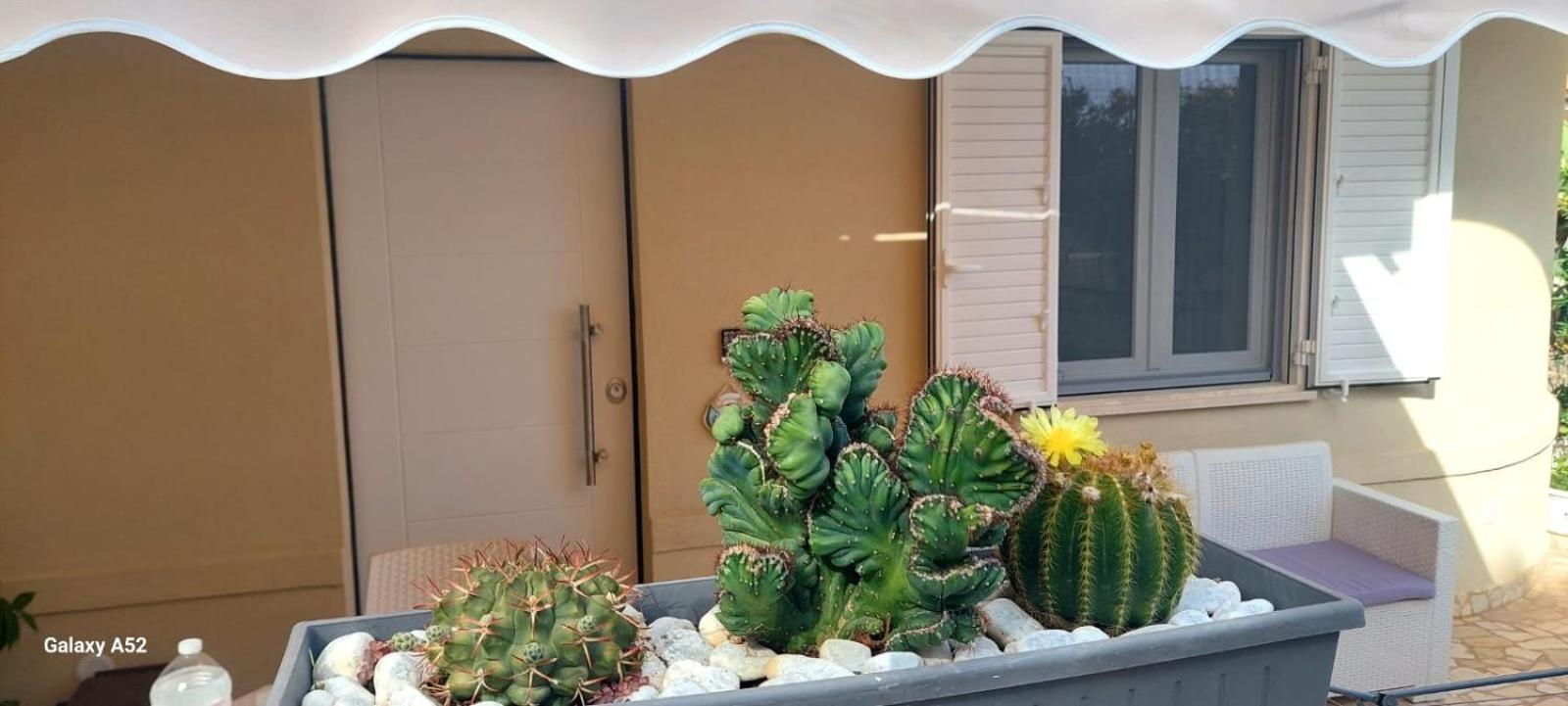 Photo 45