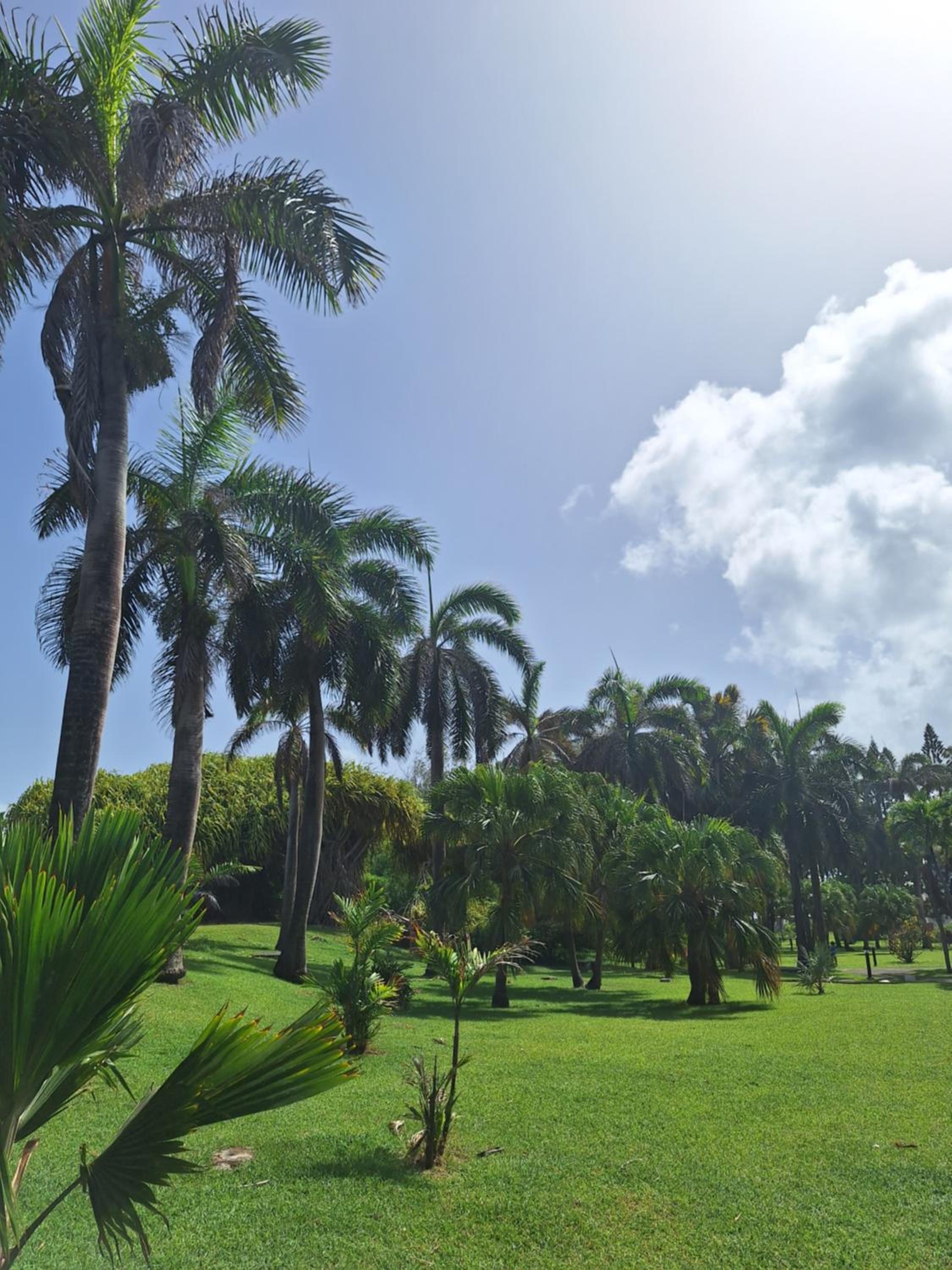 Appartement Emeraude Caraïbes, Anse des Rochers