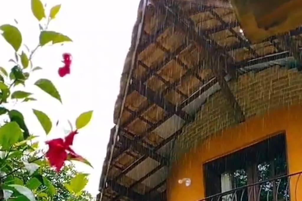 Casa Sustentável de Terra!
