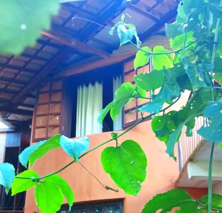 Casa Sustentável de Terra!