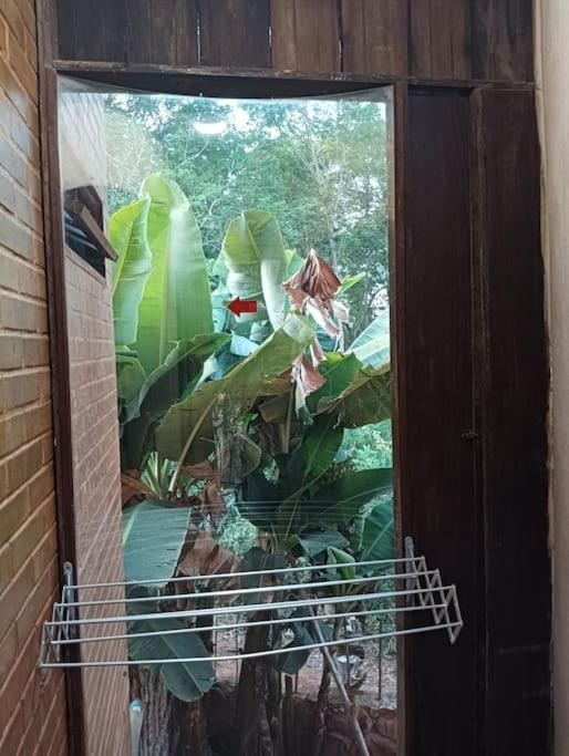 Casa Sustentável de Terra!