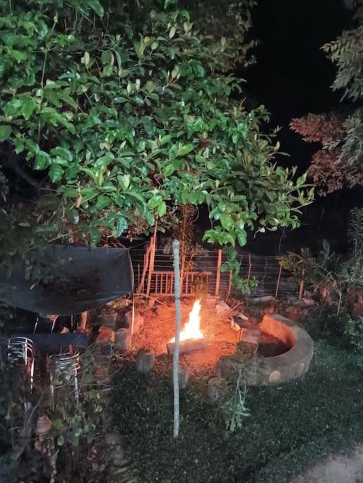 Casa Sustentável de Terra!