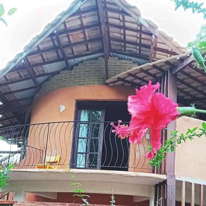 Casa Sustentável de Terra!
