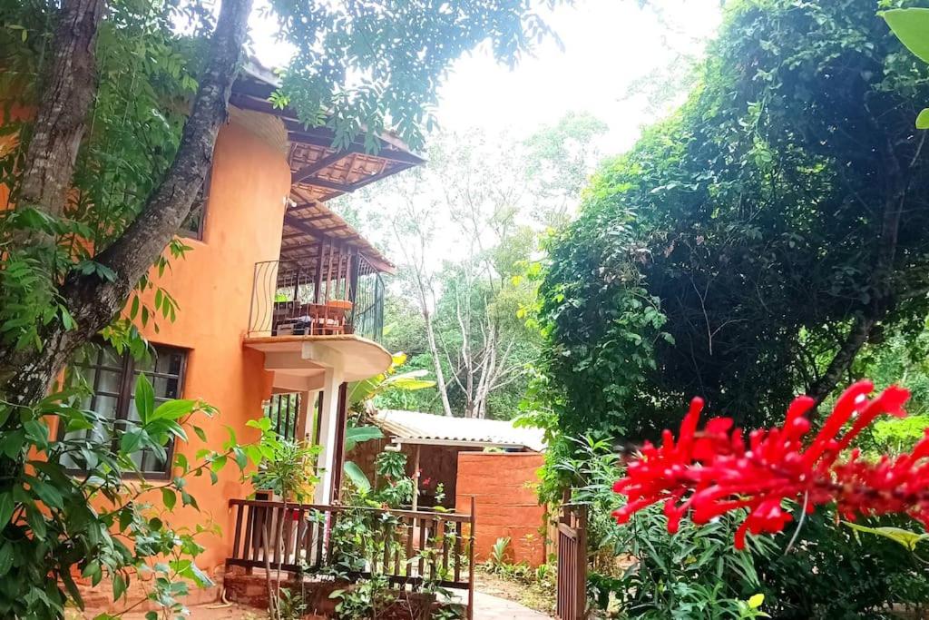 Casa Sustentável de Terra!