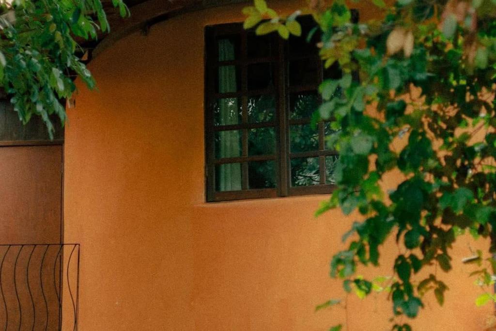 Casa Sustentável de Terra!