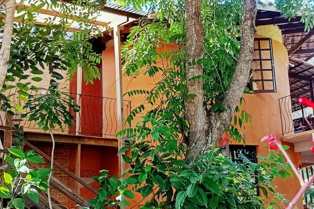 Casa Sustentável de Terra!