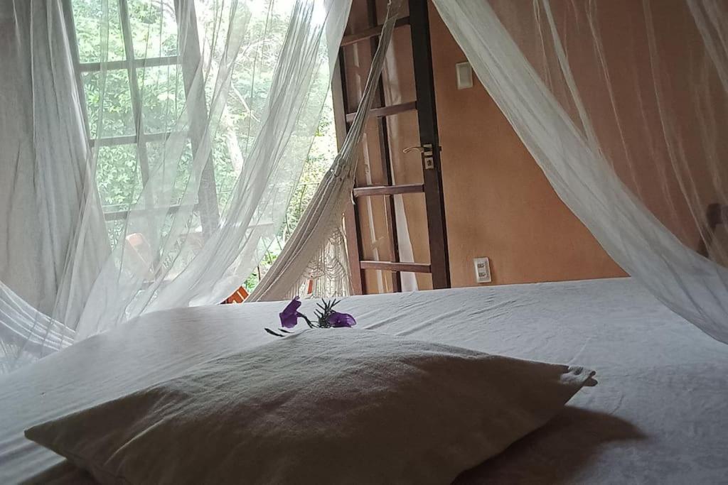 Casa Sustentável de Terra!