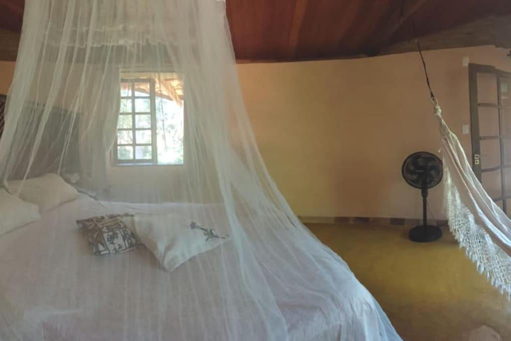Casa Sustentável de Terra!