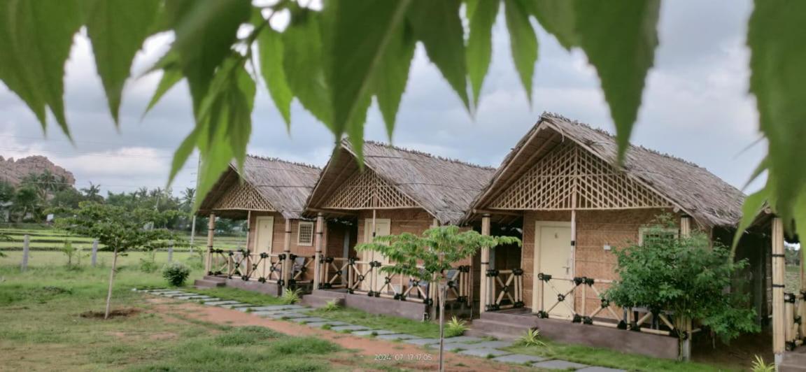 Mountain View Guesthouse Hampi