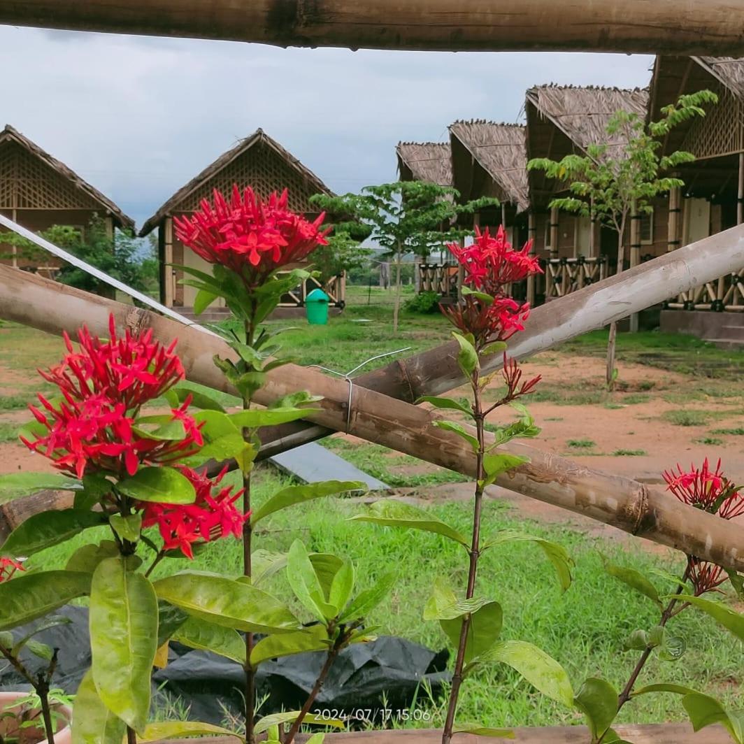 Mountain View Guesthouse Hampi