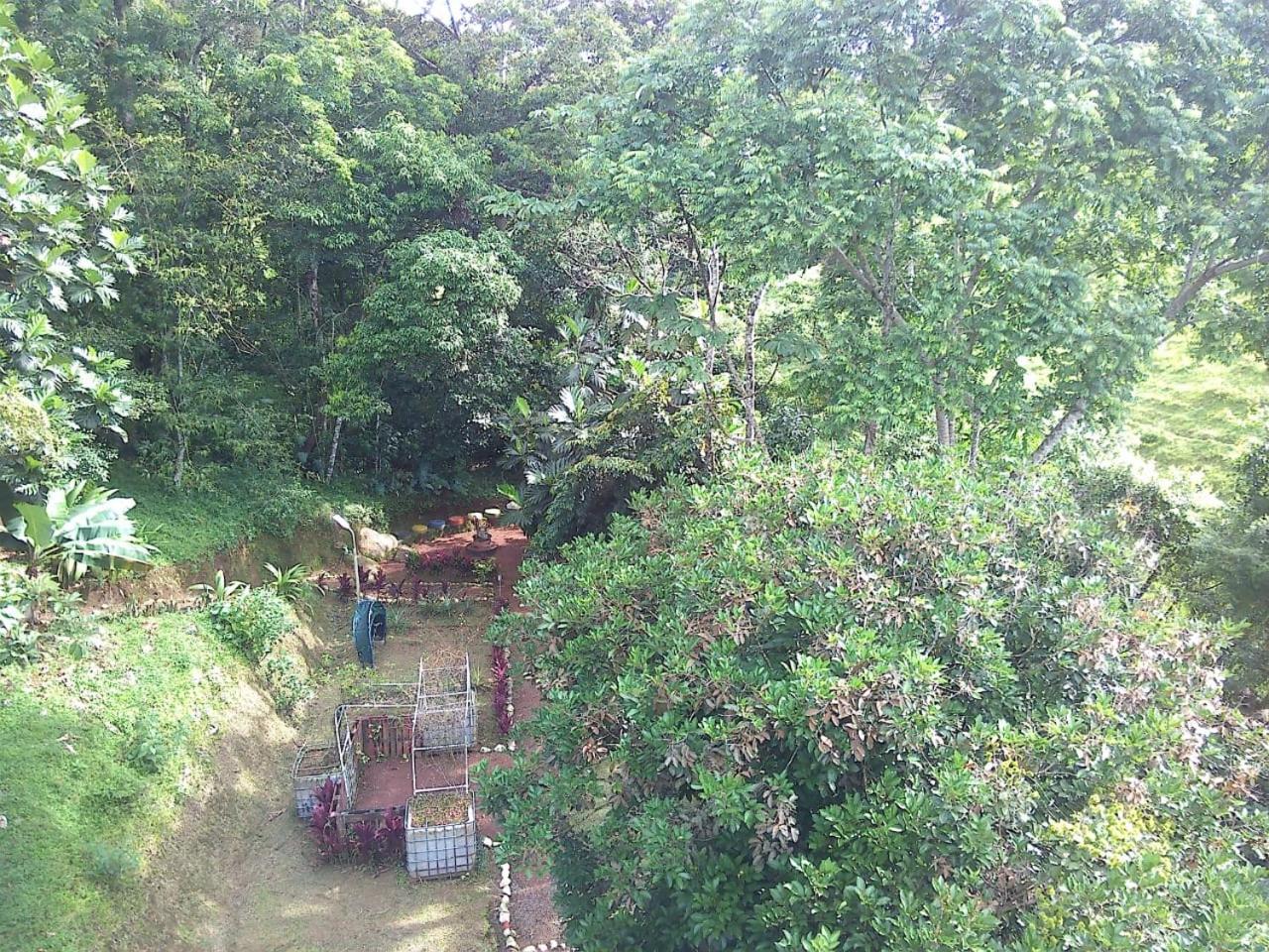 Jungle Cabin w Pool & Nature Trails