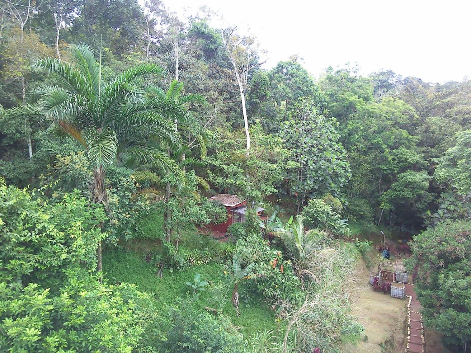 Jungle Cabin w Pool & Nature Trails