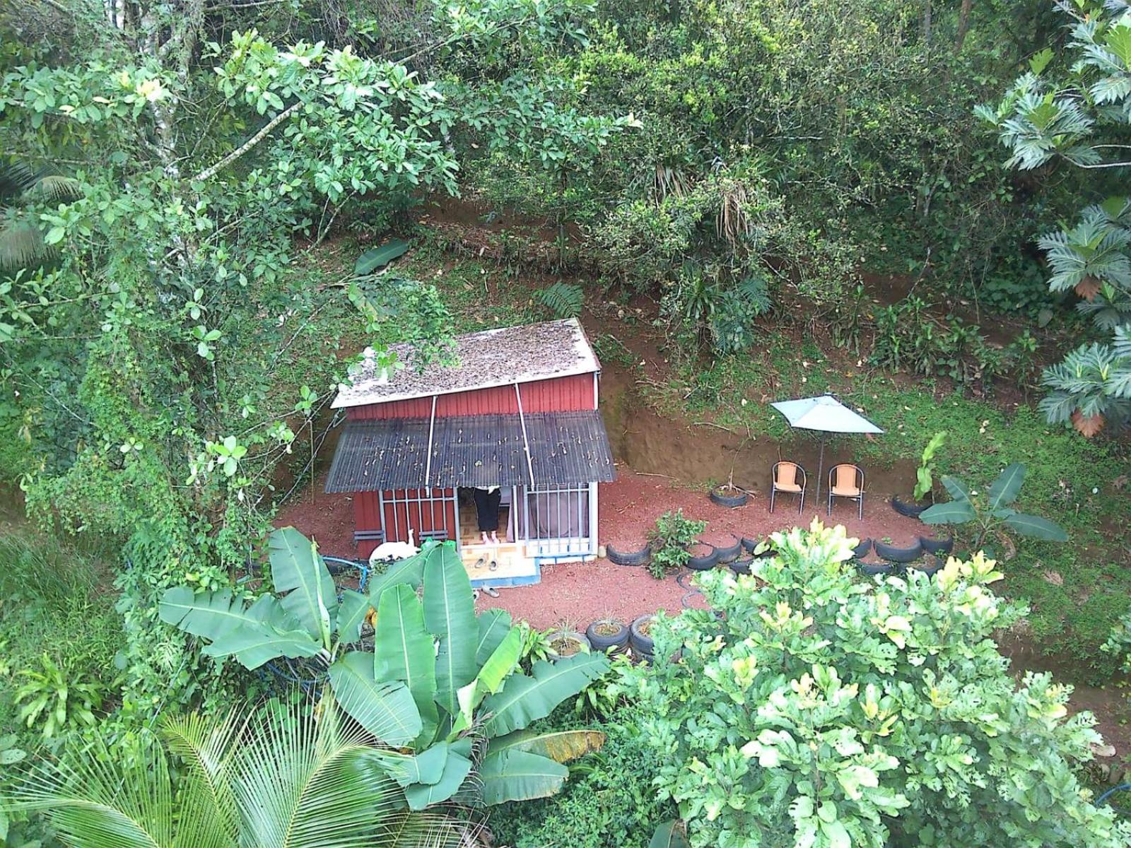Jungle Cabin w Pool & Nature Trails