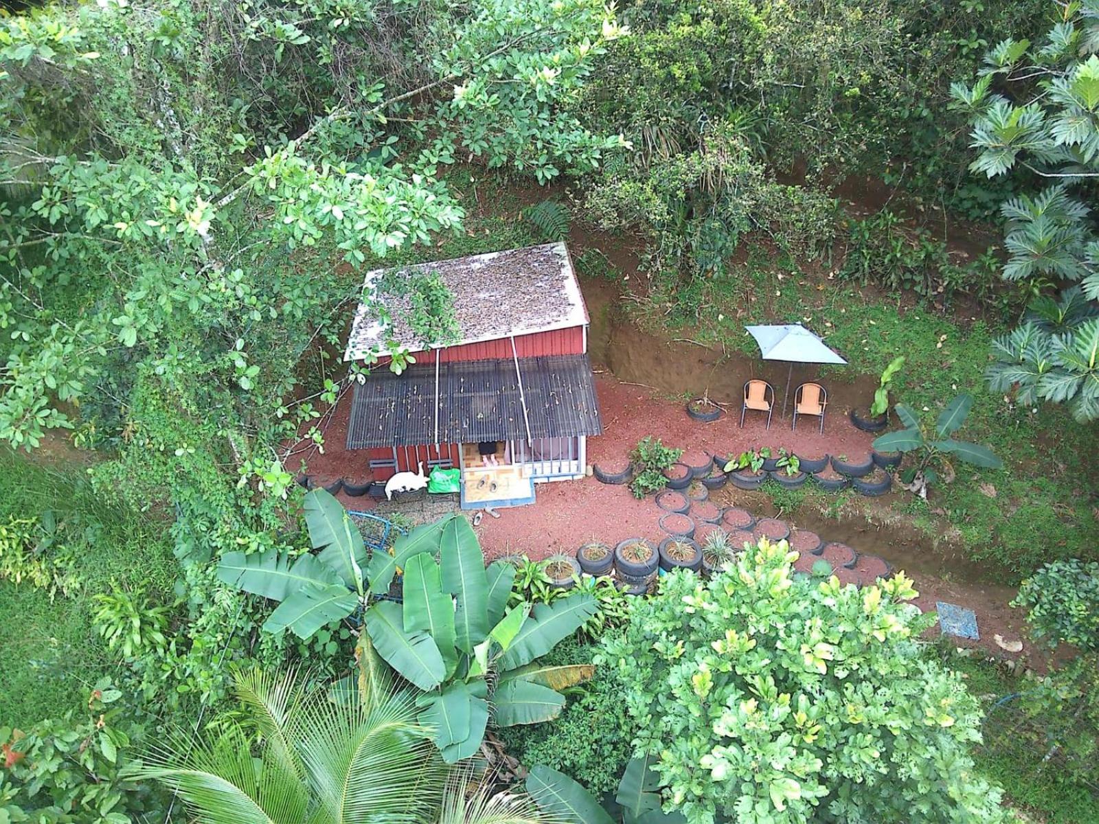 Jungle Cabin w Pool & Nature Trails