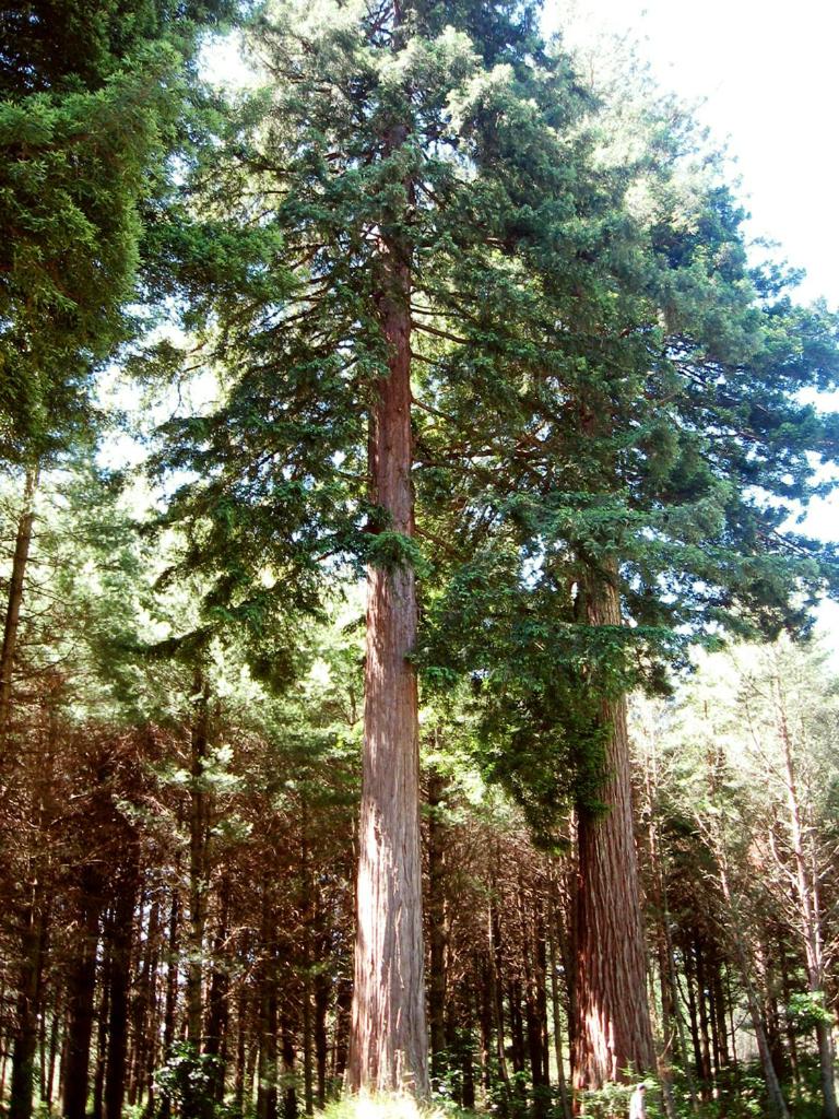 Photo 34