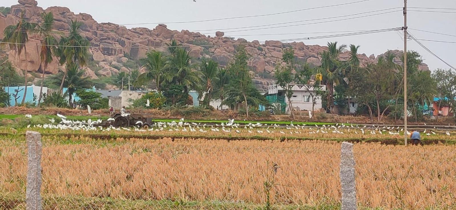 Mountain View Guesthouse Hampi